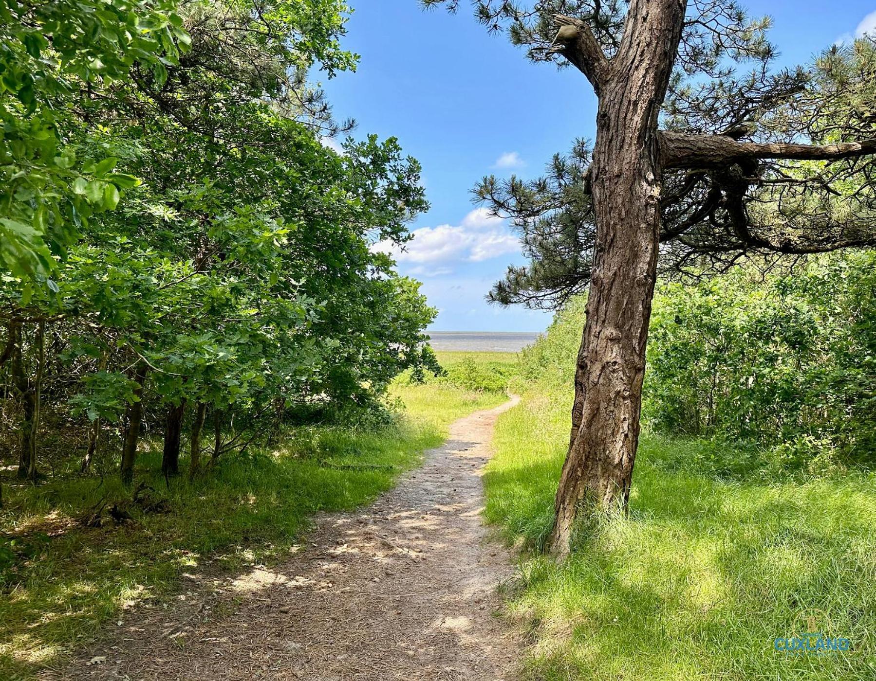 Appartamento Auszeit Am Wernerwald Im Haus Frauenpreiss Cuxhaven Esterno foto